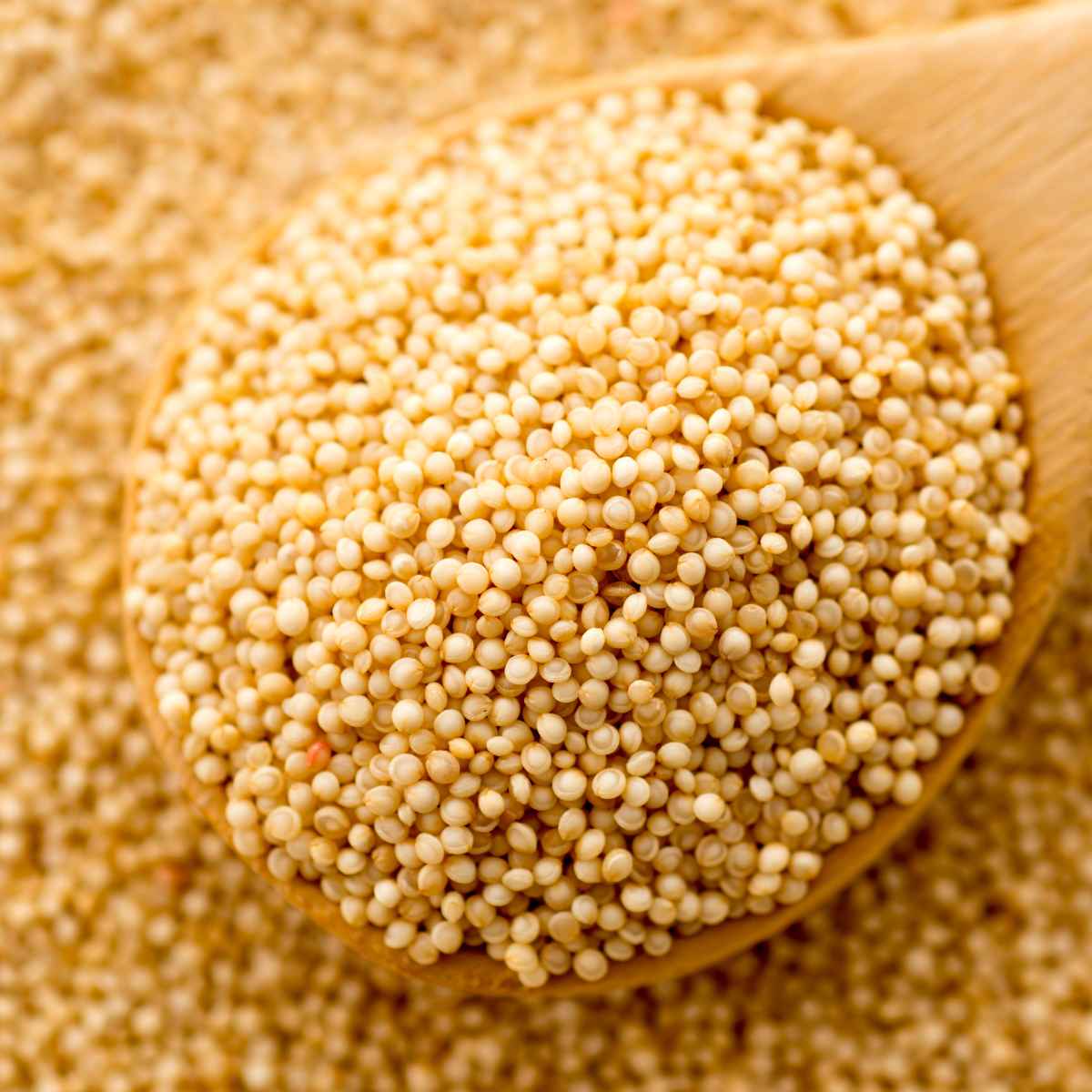 Amaranth in a wooden spoon.