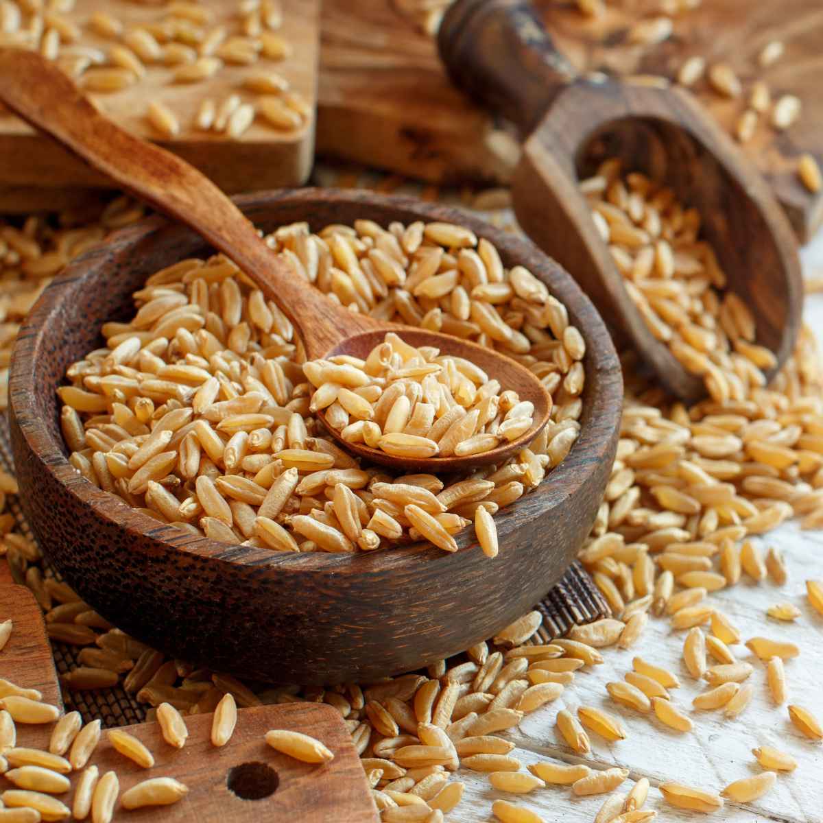 Kamut grains in a wooden bowl.