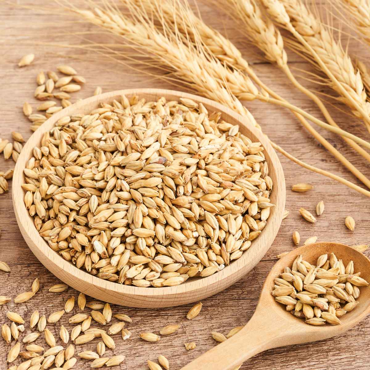Barley placed on a round wooden plate.