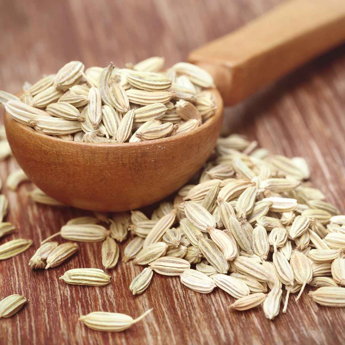 fennel seed in a spoon.