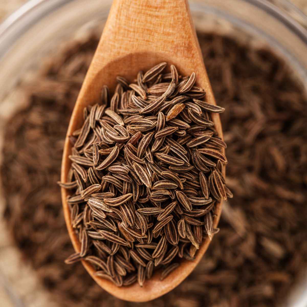 Caraway seeds in a wooden spoon.