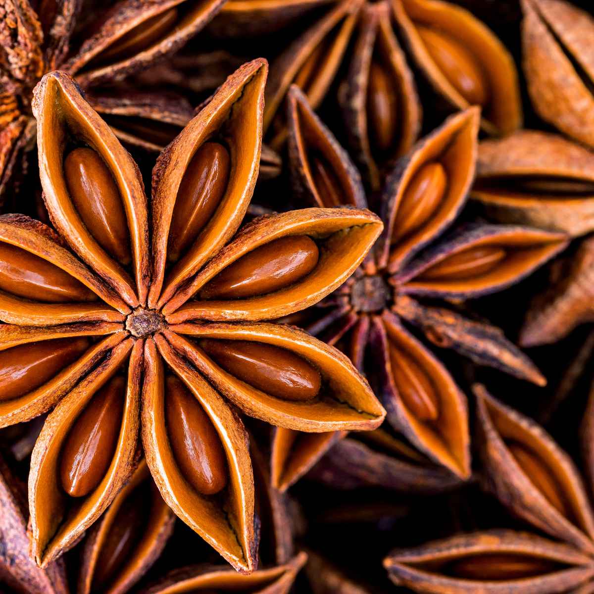 star anise.