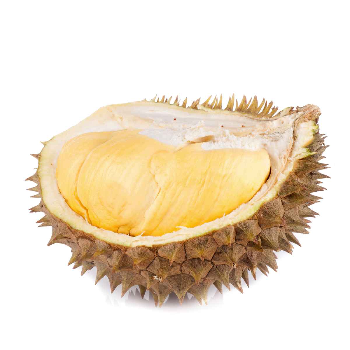 brown color utu fruit.