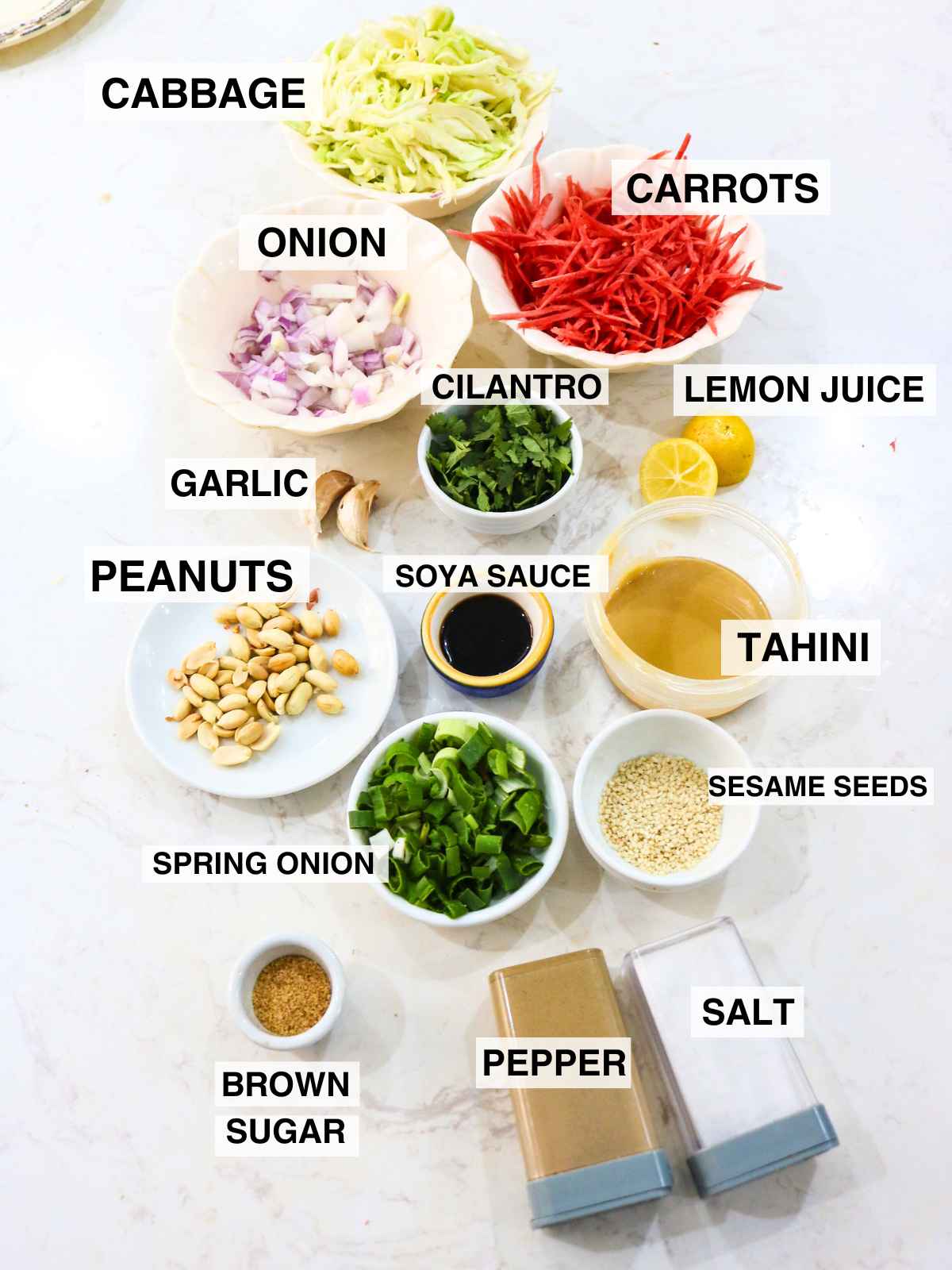 Ingredients to make Carrot cabbage salad tagged with names.