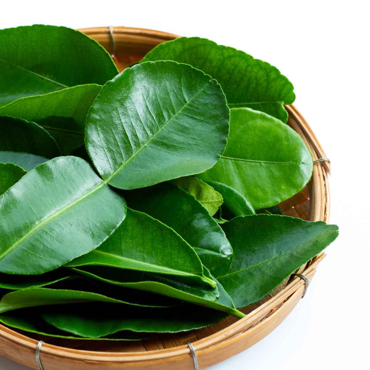 Kaffir lime leaves in a basket.