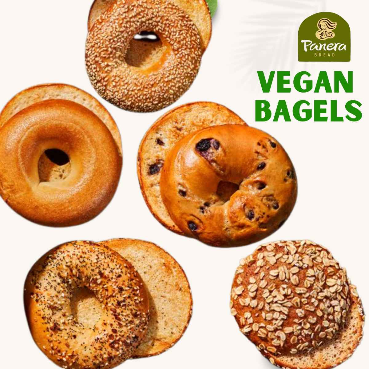 Bagels images that are vegan at Panera.