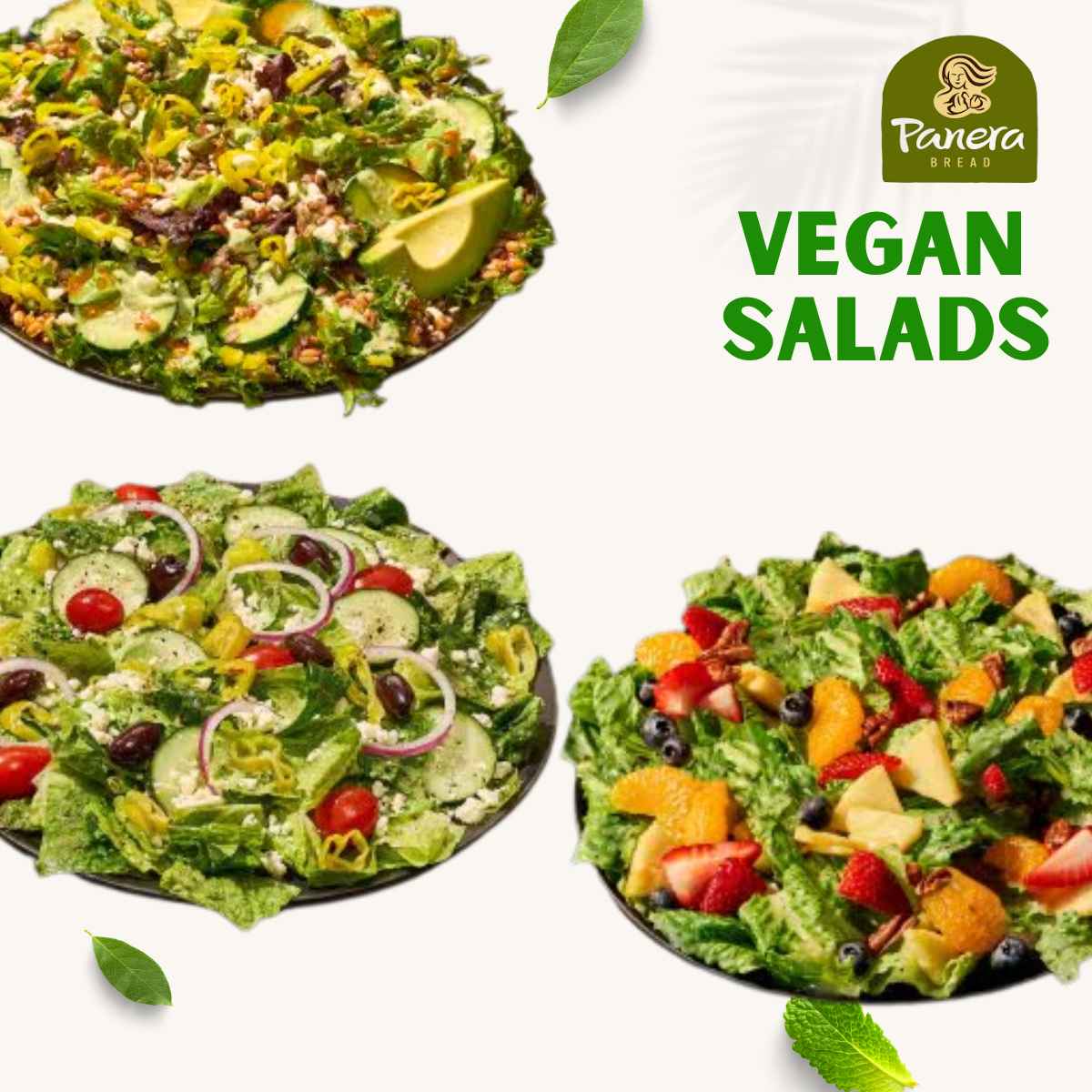 Vegan Salads at Panera Bread.